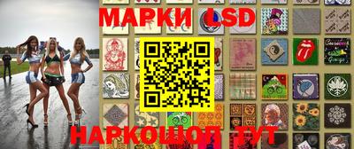 альфа пвп Новодвинск