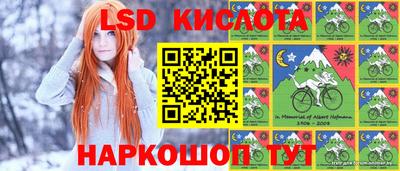 альфа пвп Новодвинск