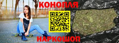 альфа пвп Новодвинск