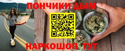альфа пвп Новодвинск
