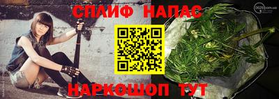 альфа пвп Новодвинск