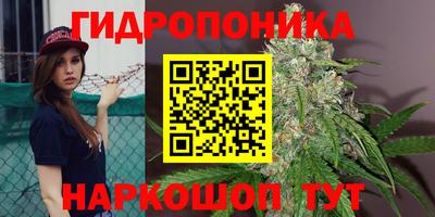 альфа пвп Новодвинск