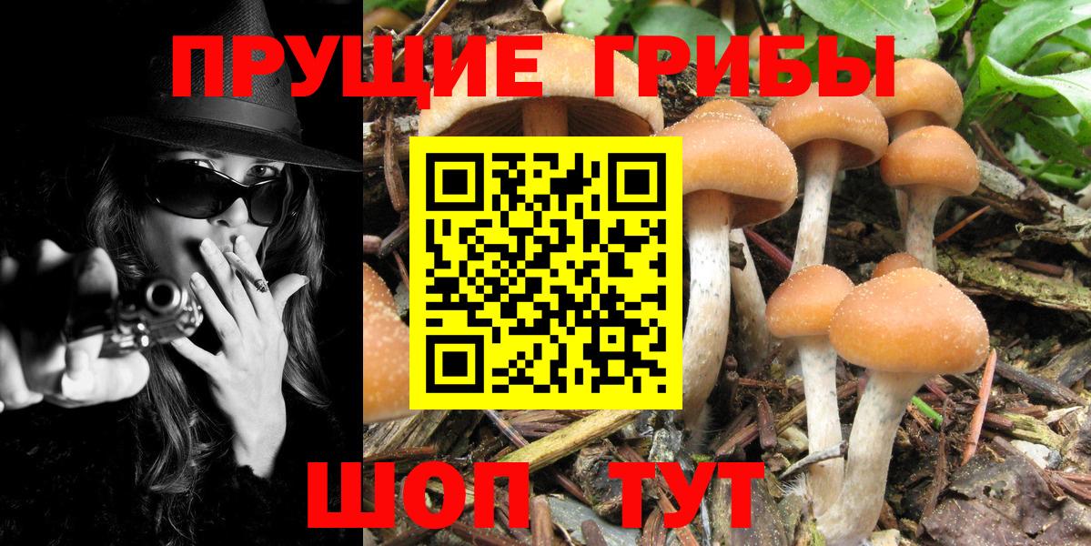 Псилоцибиновые грибы MAGIC MUSHROOMS  Вход с VPN  Реутов 