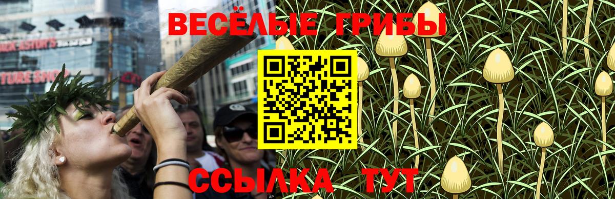 Псилоцибиновые грибы мицелий Реутов