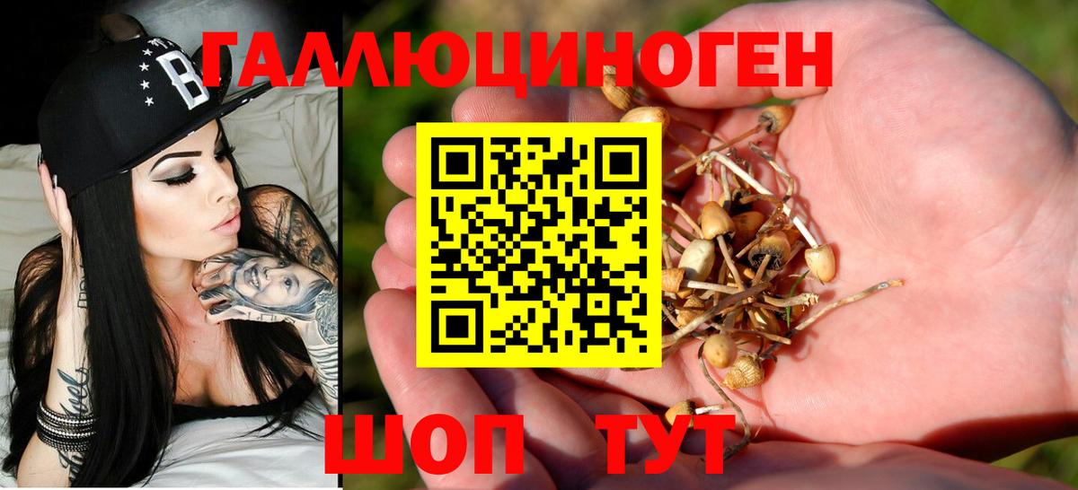 Гашиш  Реутов  Цена  COCAIN  Меф МЯУ МЯУ   Канабис  Вход с VPN 